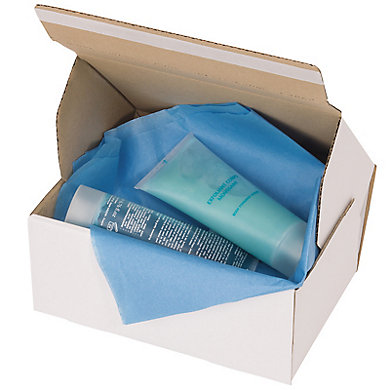 Boîte d'expédition carton avec fermeture adhésive - 310 x 240 x 100 mm